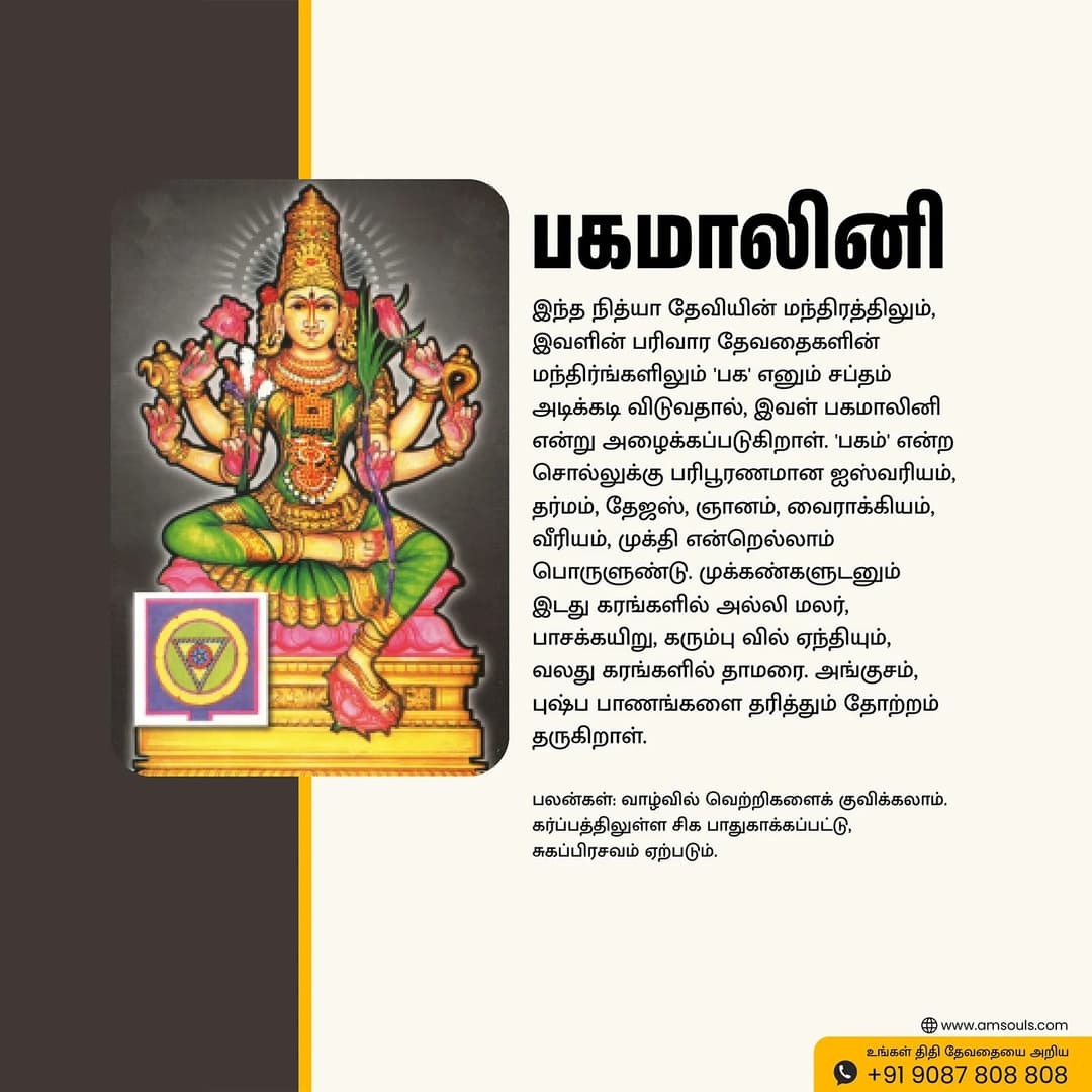 Sri Bhagamalini | Thithi Devathai | Energized Powerful Photo Frame | 6x8 inch image 5