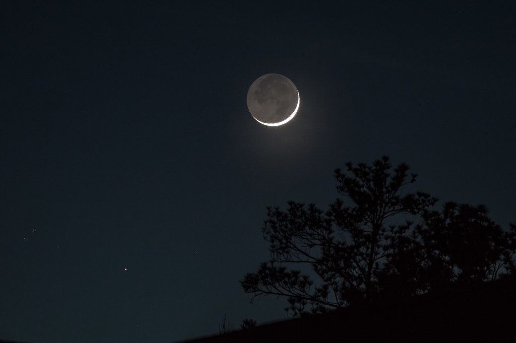 A thin waxing crescent moon above the silhouette of a tree at dusk